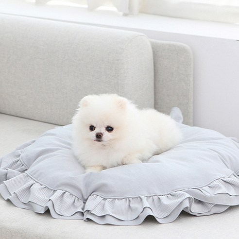 리토가토 콤피 프릴 강아지 러그, 블루