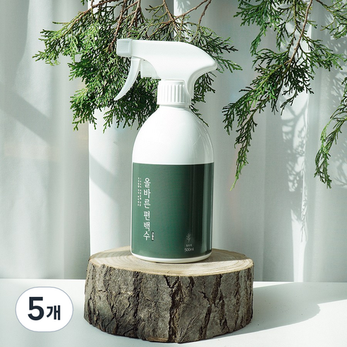 페인트인포 올바른 고농도 편백수 스프레이 탈취제, 1L, 5개