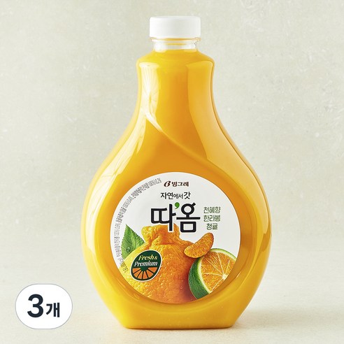 따옴 천혜향 한라봉 청귤, 1.6L, 3개