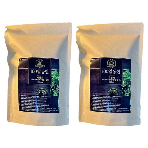 해밀생활건강 100일동안 기혈차 삼각티백, 1.2g, 100개입, 2개