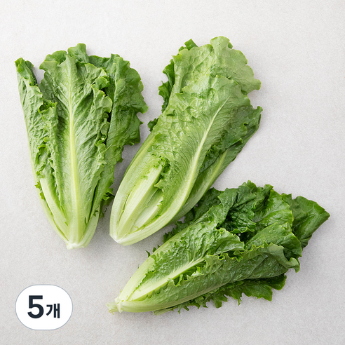 친환경 포기로메인, 300g, 5개