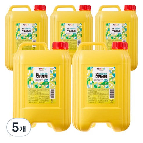 탐사 상큼한 레몬 주방세제, 14kg, 5개