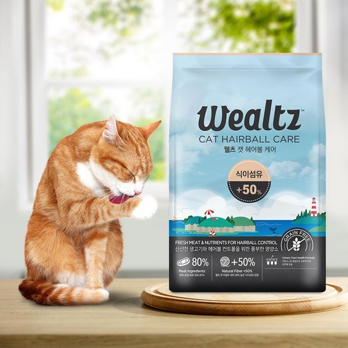 고양이를 위한 완벽한 영양 솔루션