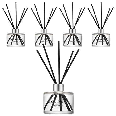 코코도르 퍼퓸 디퓨저, 편백, 200ml, 5개