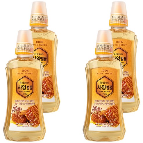 고려인삼 사양벌꿀, 750g, 4개
