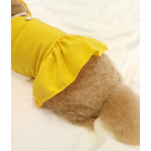 伴侶  寵物用品  小狗  貓  聯合使用  服裝  狗  狗  狗  狗