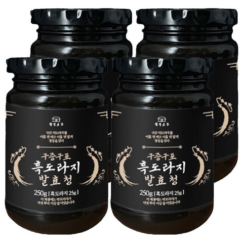 웰빙곳간 구증구포 흑도라지 발효청, 250g, 4개