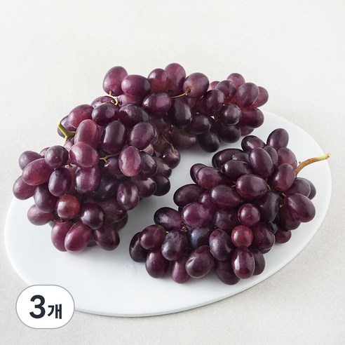 칠레 적포도, 1.8kg, 3개