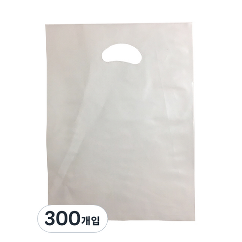팩스타 펀칭 비닐 포장봉투 가로 25cm x 세로 35cm PE25, 투명, 300개입