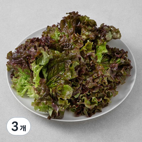 국내산 적상추, 150g, 3개