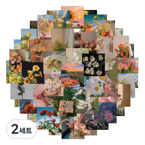 피어니스트 캐리어 노트북 팬시 스티커 50종 세트, PH 3, 2세트
