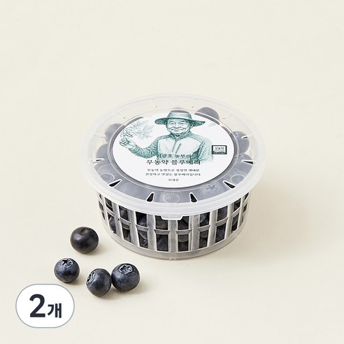 이광호 농부의 무농약 블루베리, 2개, 100g(대과)