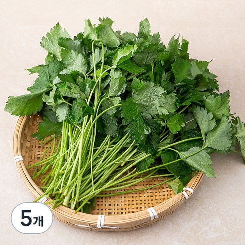 참나물, 1kg, 5개