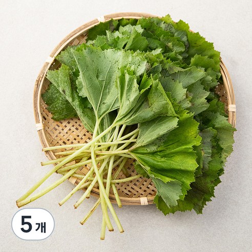 국내산 머위잎, 200g, 5개