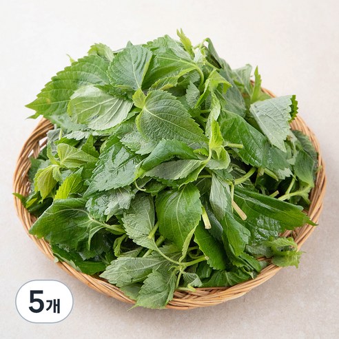 국내산 깻순, 170g, 5개