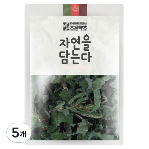 조은약초 씀바귀, 200g, 5개
