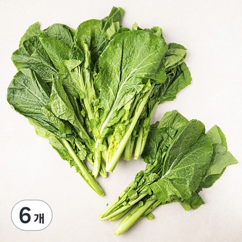 청갓, 1kg, 6개