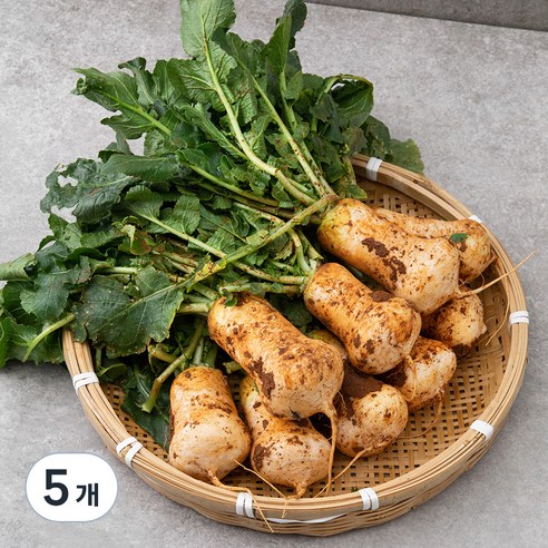 국내산 알타리무, 1kg, 5개