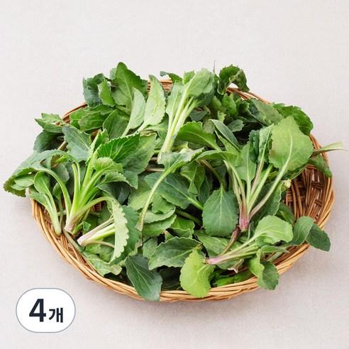 국내산 부지깽이나물, 250g, 4개