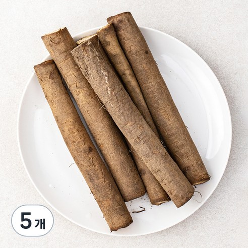 국내산 친환경 우엉, 500g, 5개