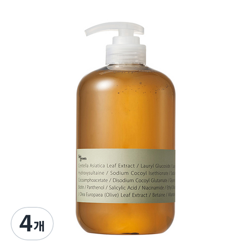 빅그린 헤어로스 시카 샴푸, 1000ml, 4개