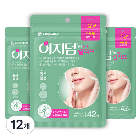 이지덤 밴드 뷰티 릴리프 스팟패치, 42개입, 12개