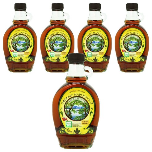 오리지널캐나디언 알레가니 유기농 메이플시럽, 250ml, 5개