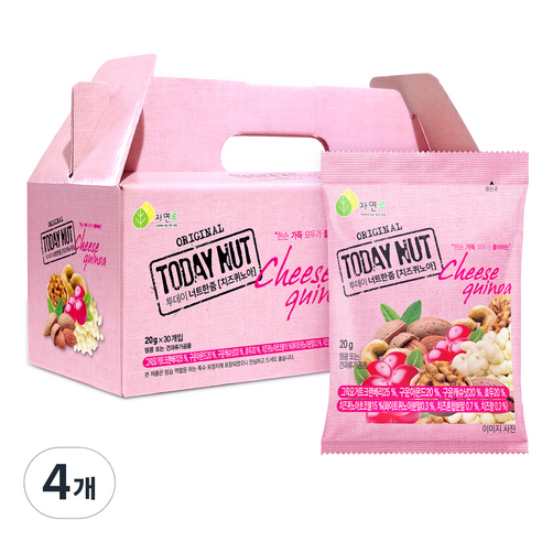 투데이넛 너트한줌 치즈퀴노아 견과 30개입, 600g, 4개