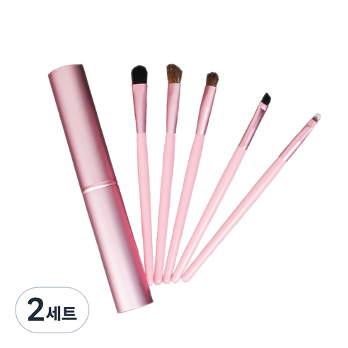 데이러빗 메이크업 브러쉬 5종 + 쉘 케이스 세트, 핑크, 2세트
