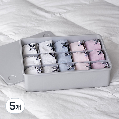 이즈리빙 칸칸칸 속옷 정리함 15칸, 그레이, 5개