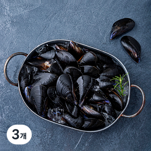 바다자리 생물 홍합 (냉장), 2kg, 3개