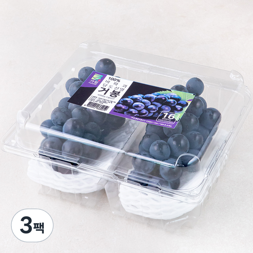 가원 비파괴 당도선별 거봉 포도, 1kg, 3팩