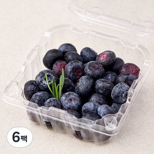 곰곰 친환경 블루베리, 100g, 6팩
