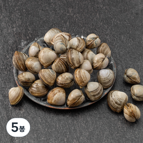 단디프레시 직접 손으로 채취한 서해안 갯벌 동죽조개, 800g, 5봉