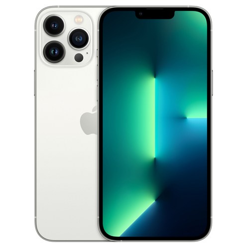 Apple 아이폰 13 Pro Max 자급제, 실버, 1024GB