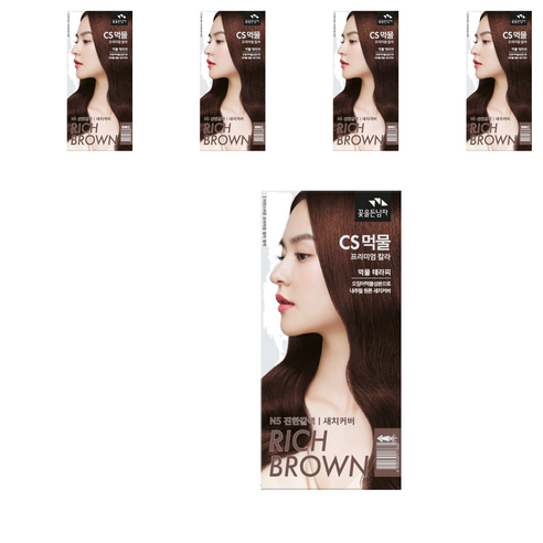 꽃을든남자 CS먹물 프리미엄 헤어 칼라크림 염모제, N5 진한갈색, 5개