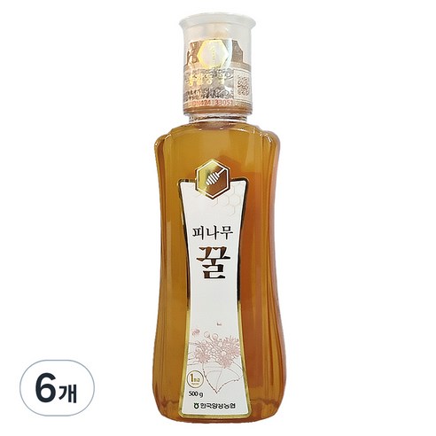 한국양봉농협 피나무 꿀, 500g, 6개