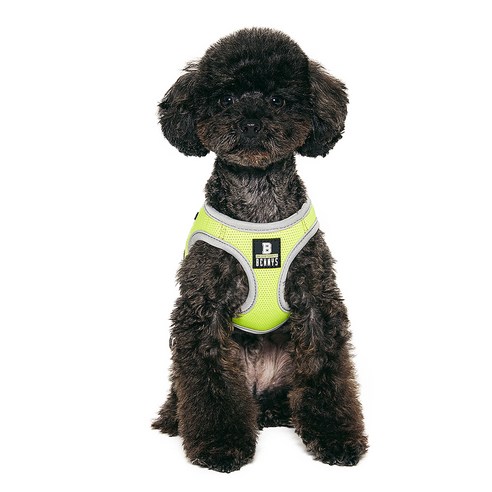 베니즈 베이직 하네스, 라임