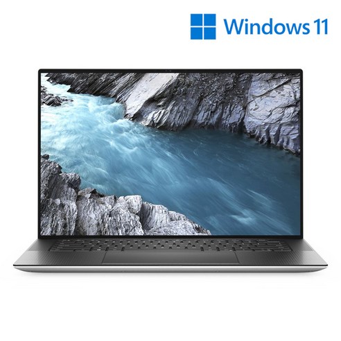 델 2020 XPS 15, 플래티넘 실버, 코어i7 10세대, 2048GB, 32GB, WIN10 Pro, DX95001005KR