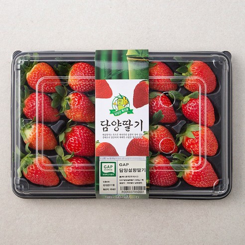 GAP 인증 담양 설향딸기, 550g, 1팩