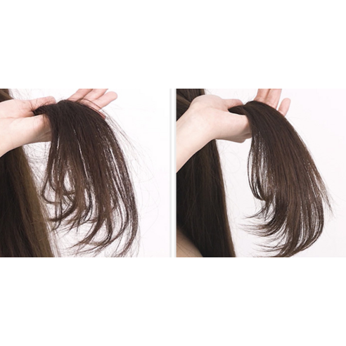 자연의 힘으로 건강한 모발을 되찾다