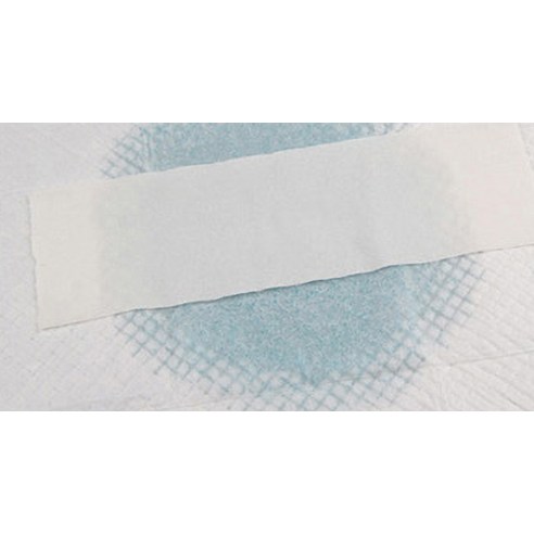 쾌적하고 효과적인 반려견 배변 솔루션