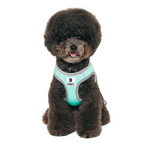 베니즈 베이직 하네스 M, 민트