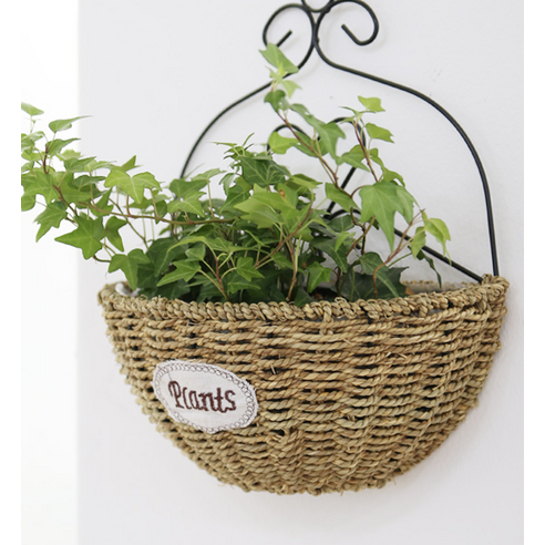 삭막한 벽에 생기를 불어넣는 라탄 벽걸이 화분으로 공간 활용과 인테리어 효과를 동시에!