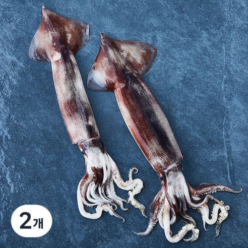 부산 13번 중매인 산지직송 채낚기로 잡은 생물 오징어 (냉장), 310g(2미), 2개