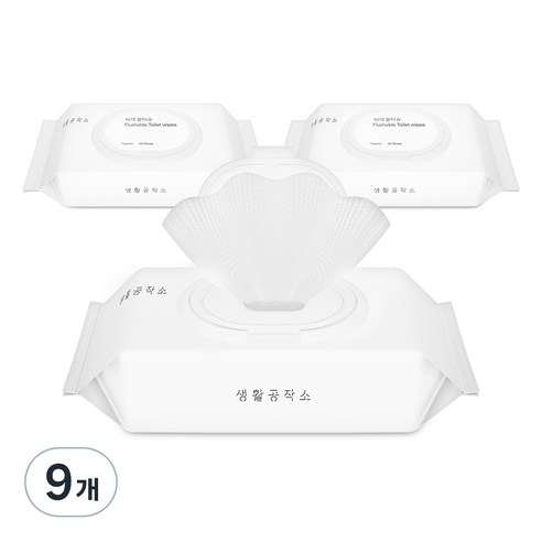 생활공작소 비데 물티슈 캡형, 60매, 9개