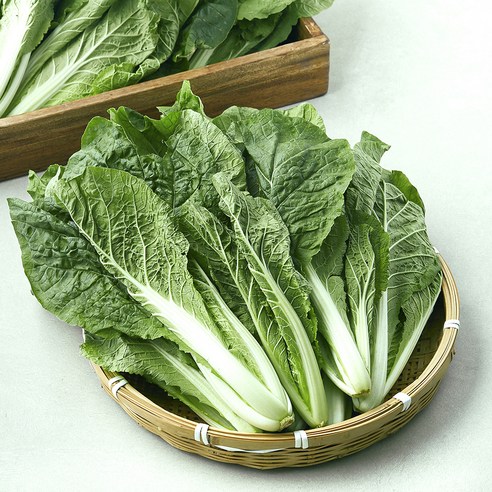 곰곰 국내산 얼갈이, 2kg, 1개