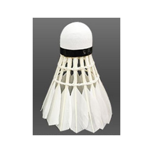 하늘을 가르는 깃털, 프로모릭스 203과 함께 당신의 플레이에 날개를 달아보세요.