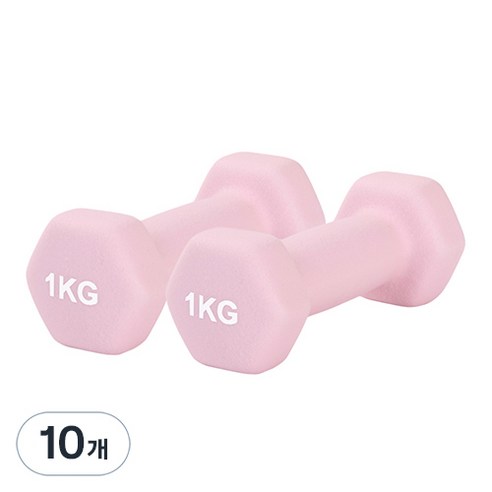 리브스포 논슬립 아령, 1kg, 10개