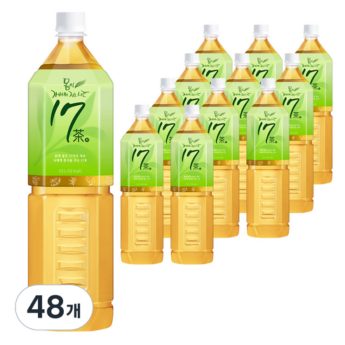 17차 몸이 가벼워지는 시간, 1.5L, 48개